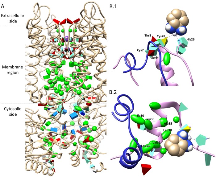 TALAIA: a 3D visual dictionary for protein structures.