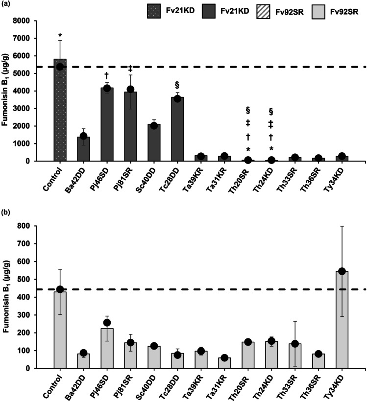 Mycotoxigenic fungal growth inhibition and multi-mycotoxin reduction of potential biological control agents indigenous to grain maize.