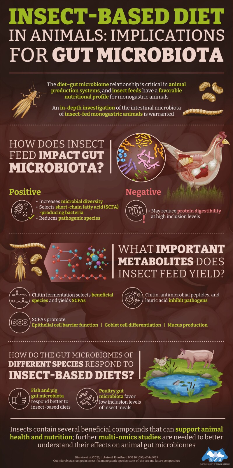 Insect-based diet in animals: implications for gut microbiota.