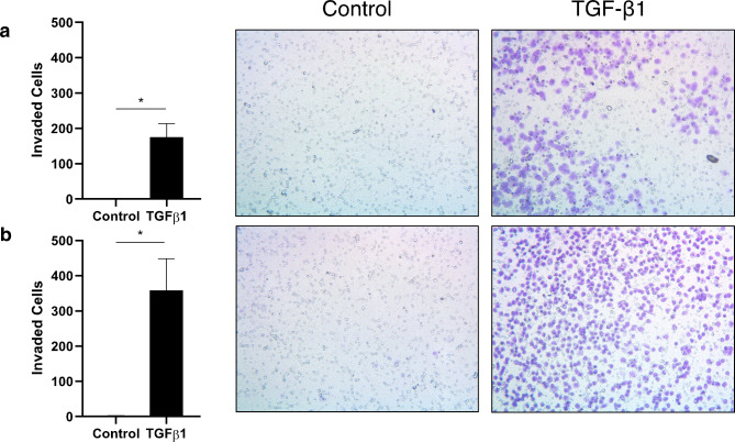 A model for the dissemination of circulating tumour cell clusters involving platelet recruitment and a plastic switch between cooperative and individual behaviours.