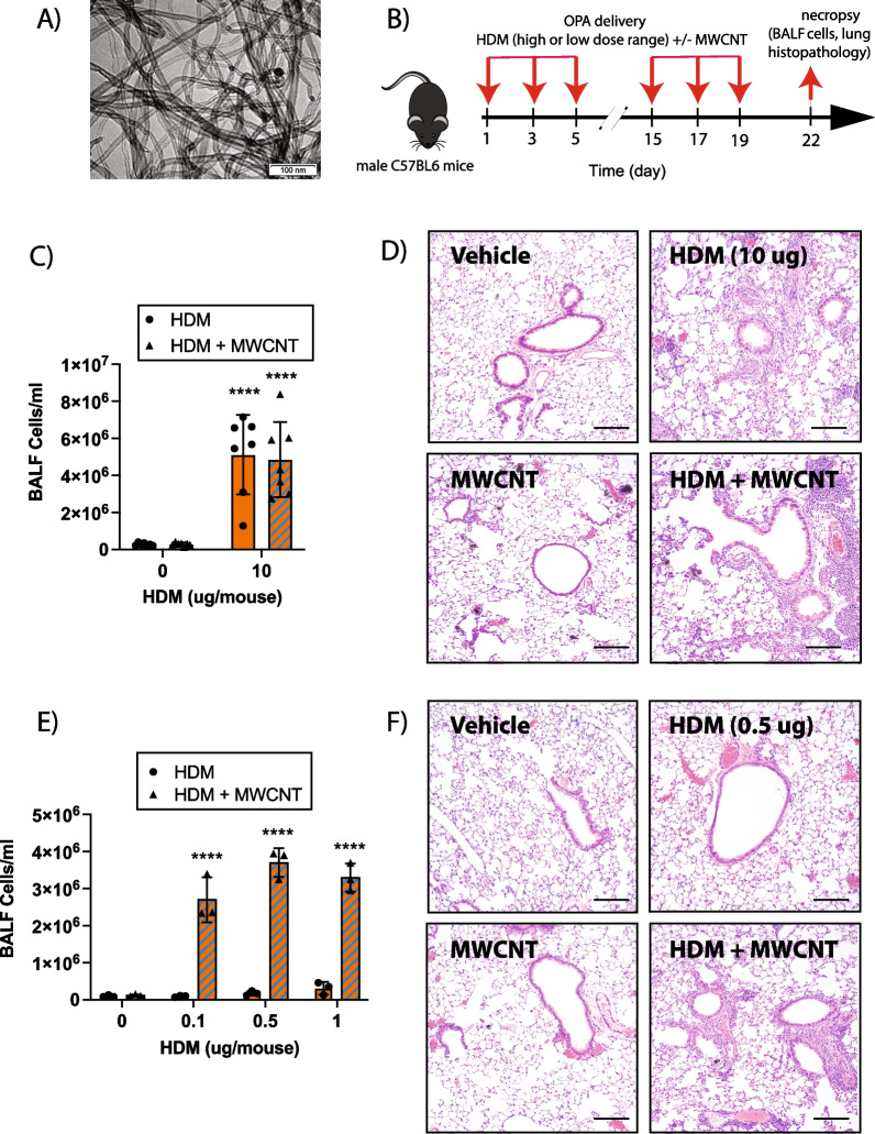 Role of the protease-activated receptor-2 (PAR2) in the exacerbation of house dust mite-induced murine allergic lung disease by multi-walled carbon nanotubes.