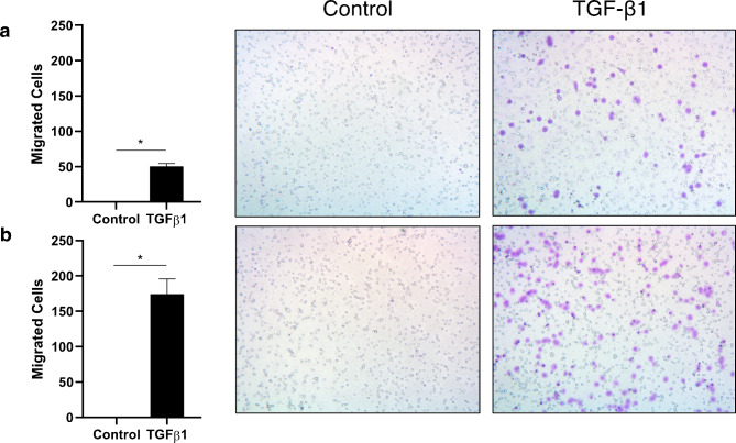 A model for the dissemination of circulating tumour cell clusters involving platelet recruitment and a plastic switch between cooperative and individual behaviours.