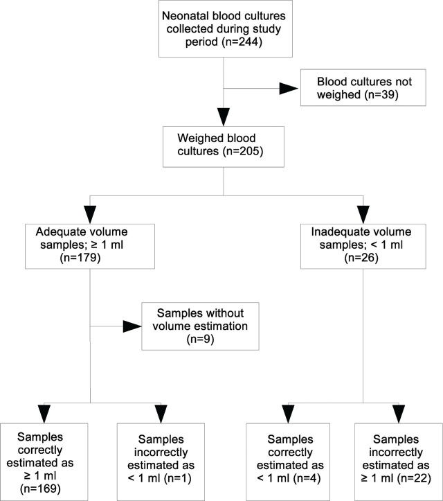 Point-of-Care Verification of Blood Culture Volume in Neonates: A Feasibility Trial.