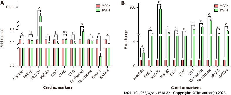 Wnt signaling pathway inhibitor promotes mesenchymal stem cells differentiation into cardiac progenitor cells <i>in vitro</i> and improves cardiomyopathy <i>in vivo</i>.