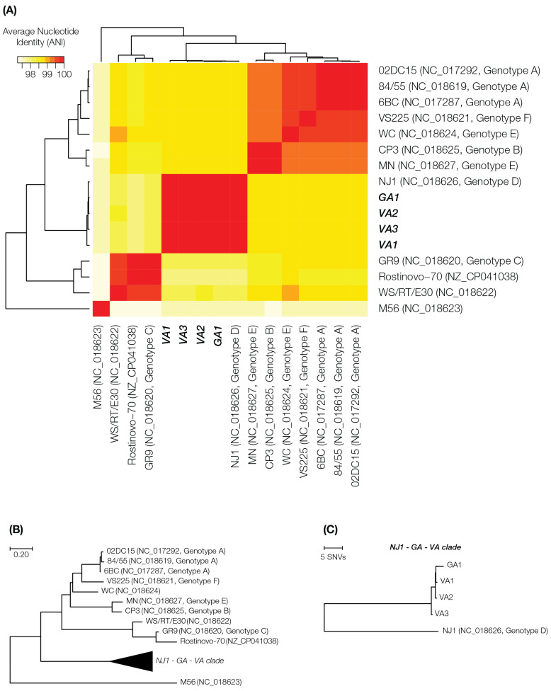 Genomic analysis of <i>Chlamydia psittaci</i> from a multistate zoonotic outbreak in two chicken processing plants.