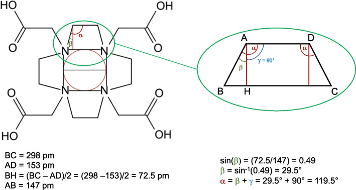 The DOTA macrocyclic cavity in metallic radiopharmaceuticals: Mythology or reality?