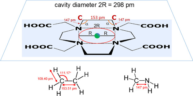 The DOTA macrocyclic cavity in metallic radiopharmaceuticals: Mythology or reality?