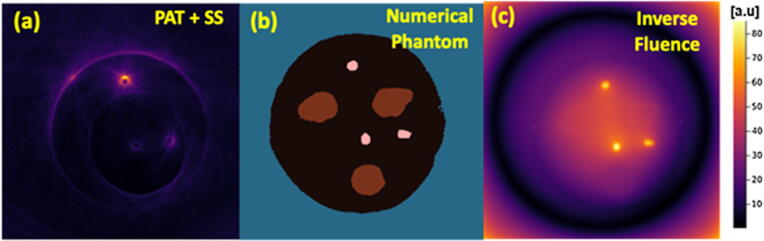 Wavelength-dependent error minimization for quantitative spectroscopic photoacoustic tomography with a ring-array system