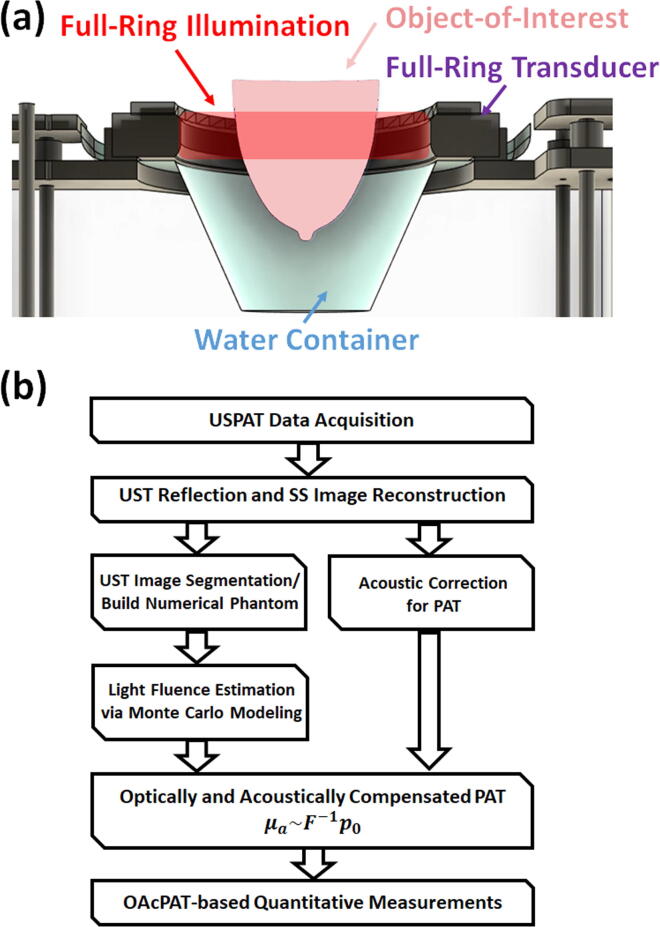 Wavelength-dependent error minimization for quantitative spectroscopic photoacoustic tomography with a ring-array system