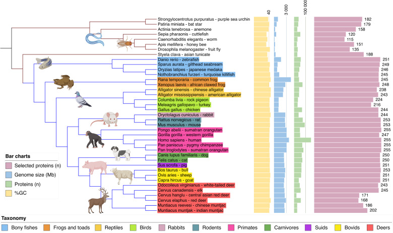 Phylobone: a comprehensive database of bone extracellular matrix proteins in human and model organisms.