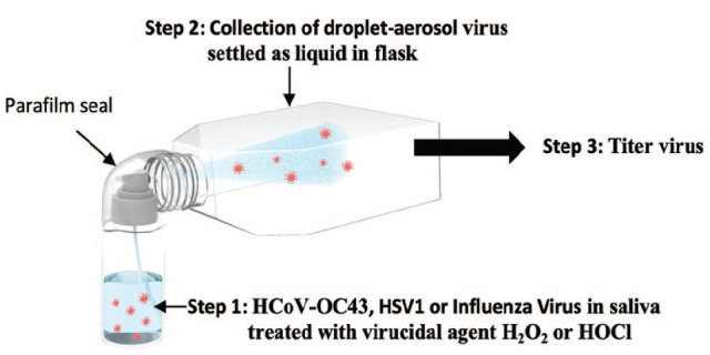 HOCl Rapidly Kills Corona, Flu, and Herpes to Prevent Aerosol Spread.