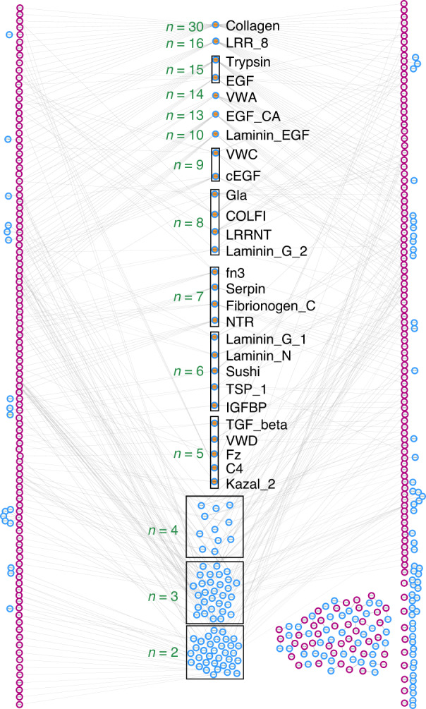 Phylobone: a comprehensive database of bone extracellular matrix proteins in human and model organisms.