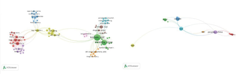 Contemporary research trends on nanoparticles in endodontics: a bibliometric and scientometric analysis of the top 100 most-cited articles.