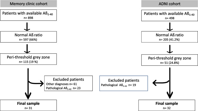 Clinical characteristics of patients with suspected Alzheimer's disease within a CSF Aß-ratio grey zone.