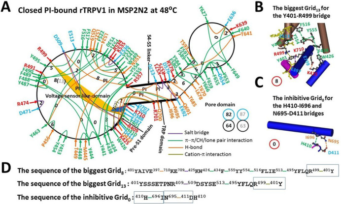 Thermo-ring basis for heat unfolding-induced inactivation in TRPV1.