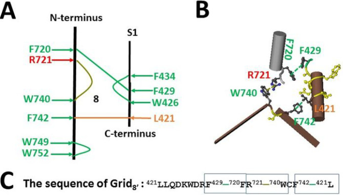 Thermo-ring basis for heat unfolding-induced inactivation in TRPV1.