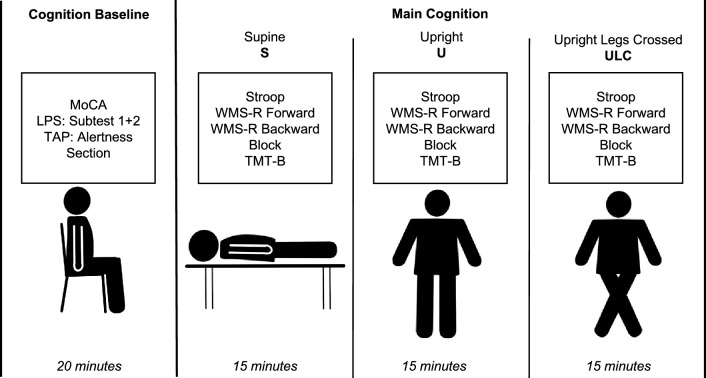 Cognitive functioning in postural orthostatic tachycardia syndrome among different body positions: a prospective pilot study (POTSKog study).