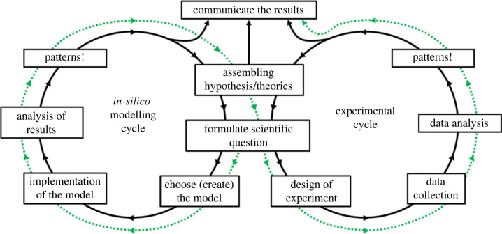 Multiscale models driving hypothesis and theory-based research in microbial ecology.