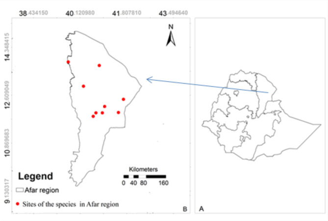 Diversity and abundance of birds in dumpsites of Afar region, Ethiopia: implication for conservation.