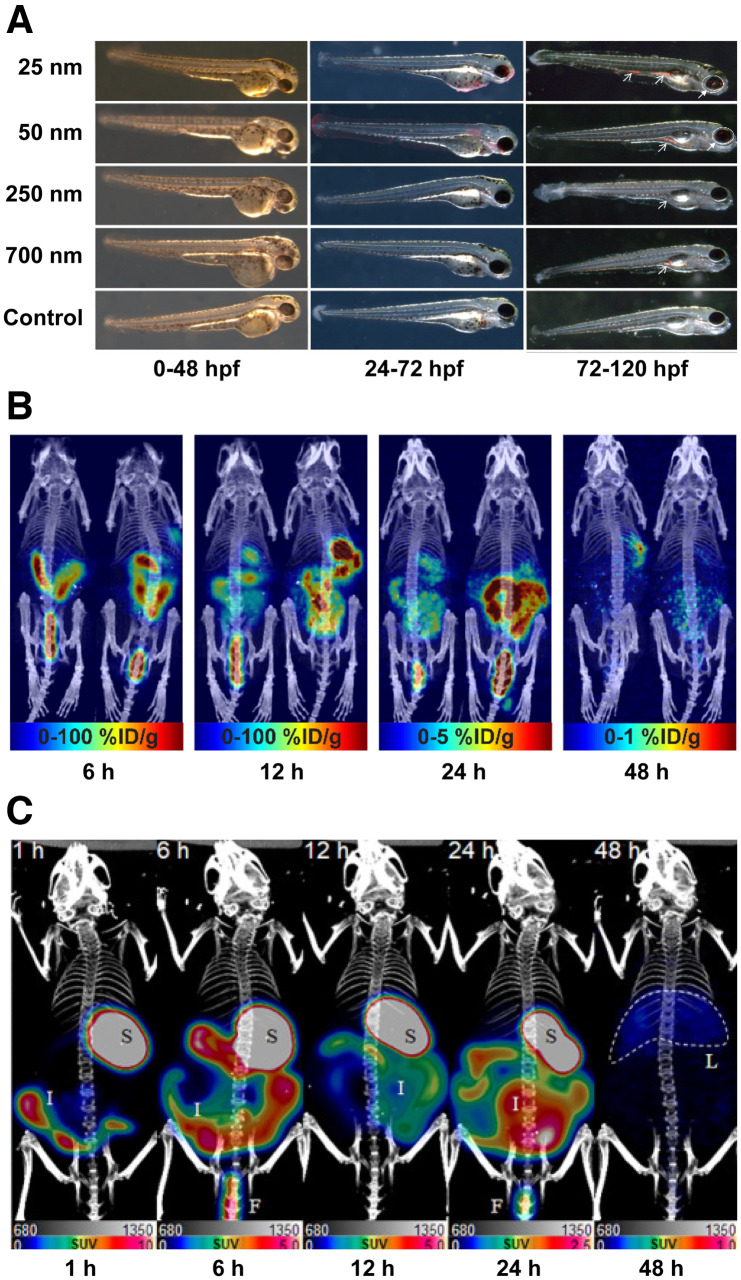 Molecular Imaging, Radiochemistry, and Environmental Pollutants.