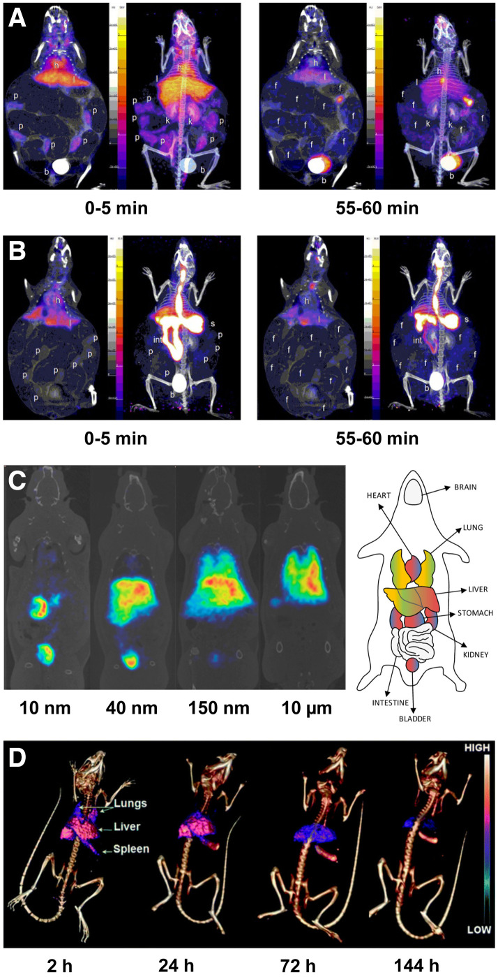 Molecular Imaging, Radiochemistry, and Environmental Pollutants.