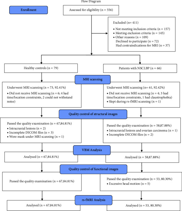 Functional Alterations of the Basal Ganglia Are Associated with Voluntary Activation of the Core Stabilizing Muscles in Patients with Chronic Low Back Pain: A Cross-Sectional Study.