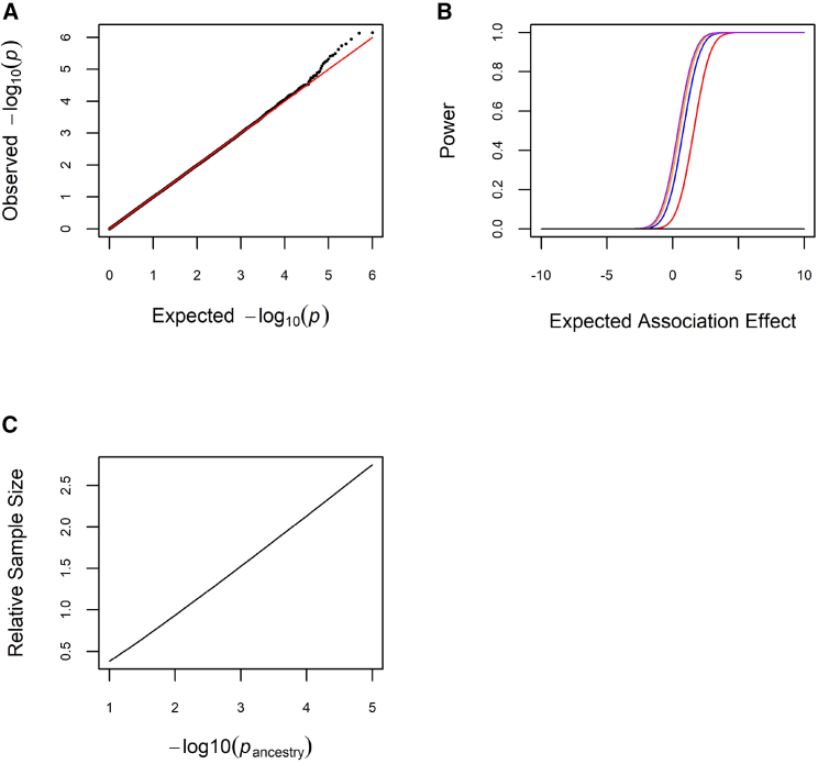 Universal genome-wide association studies: Powerful joint ancestry and association testing.