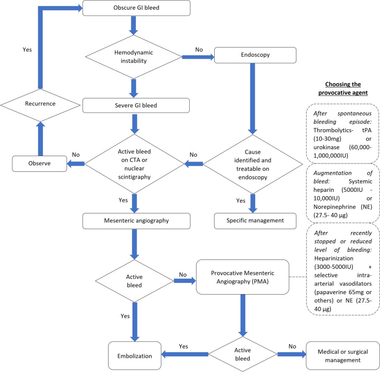 Provocative mesenteric angiography for occult gastrointestinal bleeding: a systematic review.