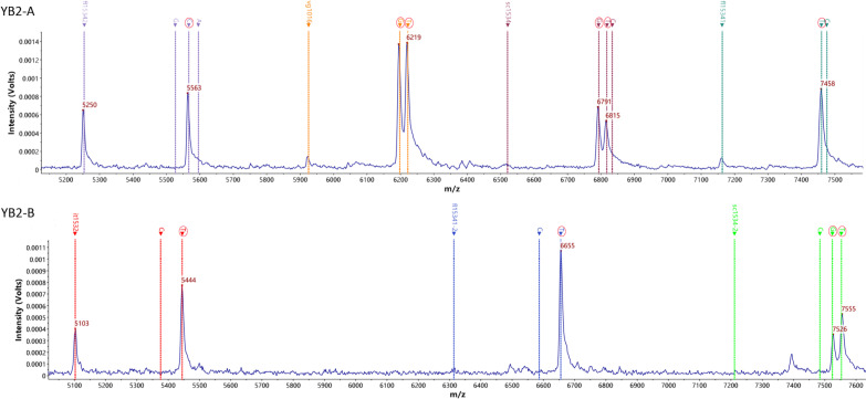 A novel strategy for screening mutations in the voltage-gated sodium channel gene of Aedes albopictus based on multiplex PCR-mass spectrometry minisequencing technology.