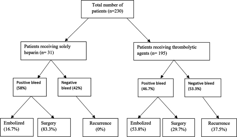 Provocative mesenteric angiography for occult gastrointestinal bleeding: a systematic review.