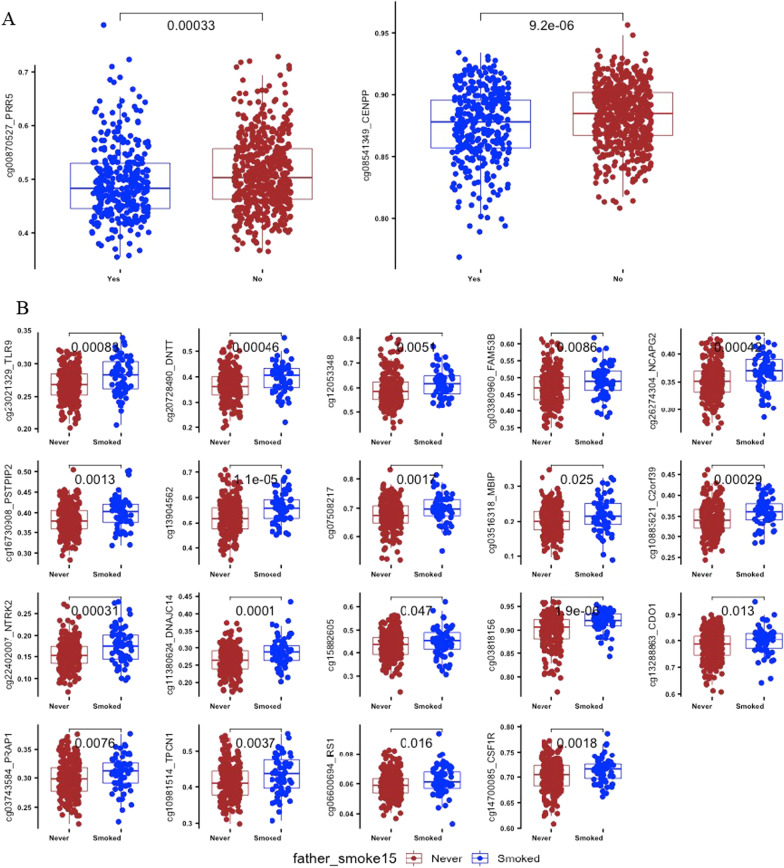 Fathers' preconception smoking and offspring DNA methylation.