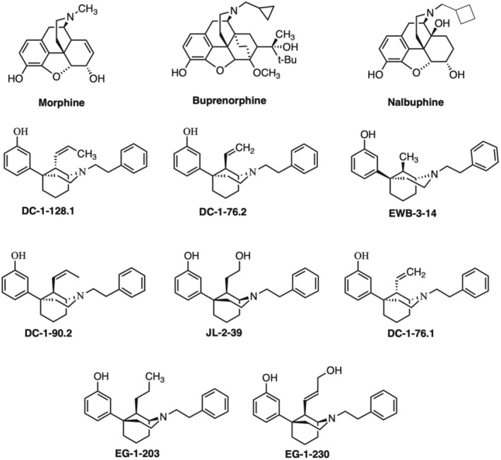 Role of efficacy as a determinant of locomotor activation by mu-opioid receptor (MOR) ligands in female and male mice. II. Effects of novel MOR-selective phenylmorphans with high-to-low MOR efficacy.