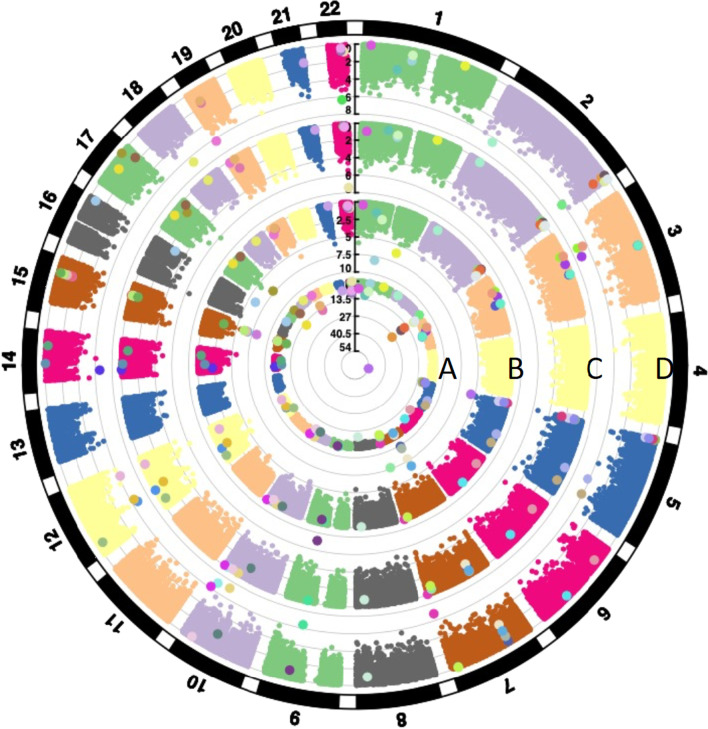 Fathers' preconception smoking and offspring DNA methylation.