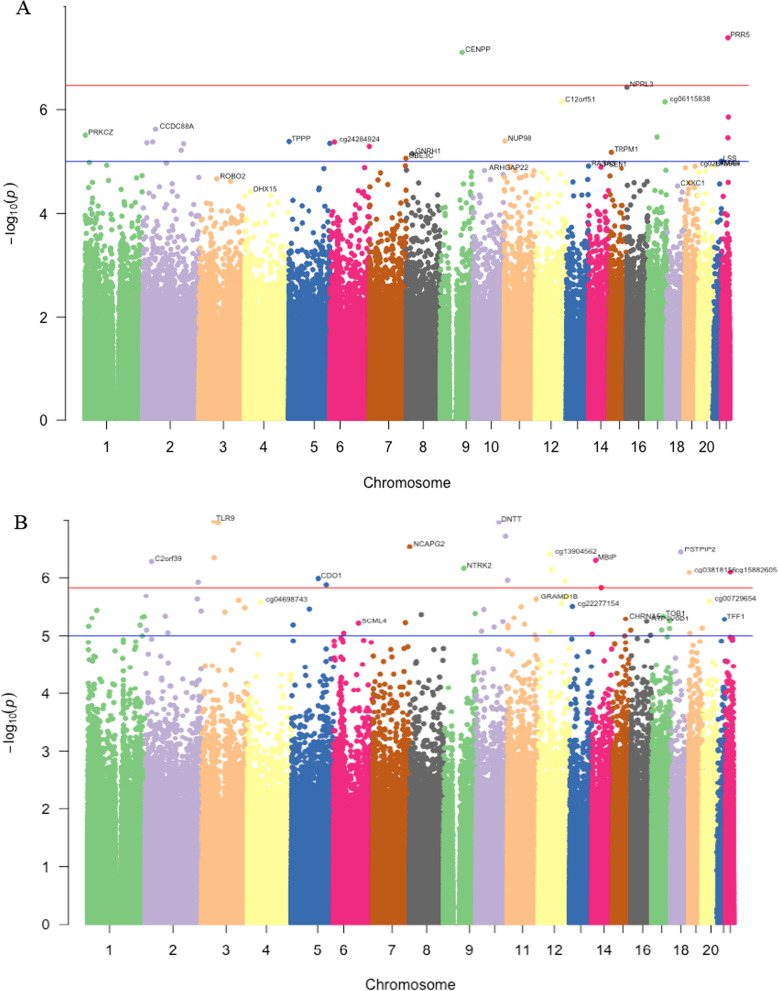 Fathers' preconception smoking and offspring DNA methylation.