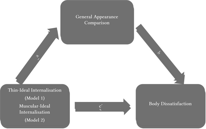 The Role of Social Appearance Comparison in Body Dissatisfaction of Adolescent Boys and Girls.