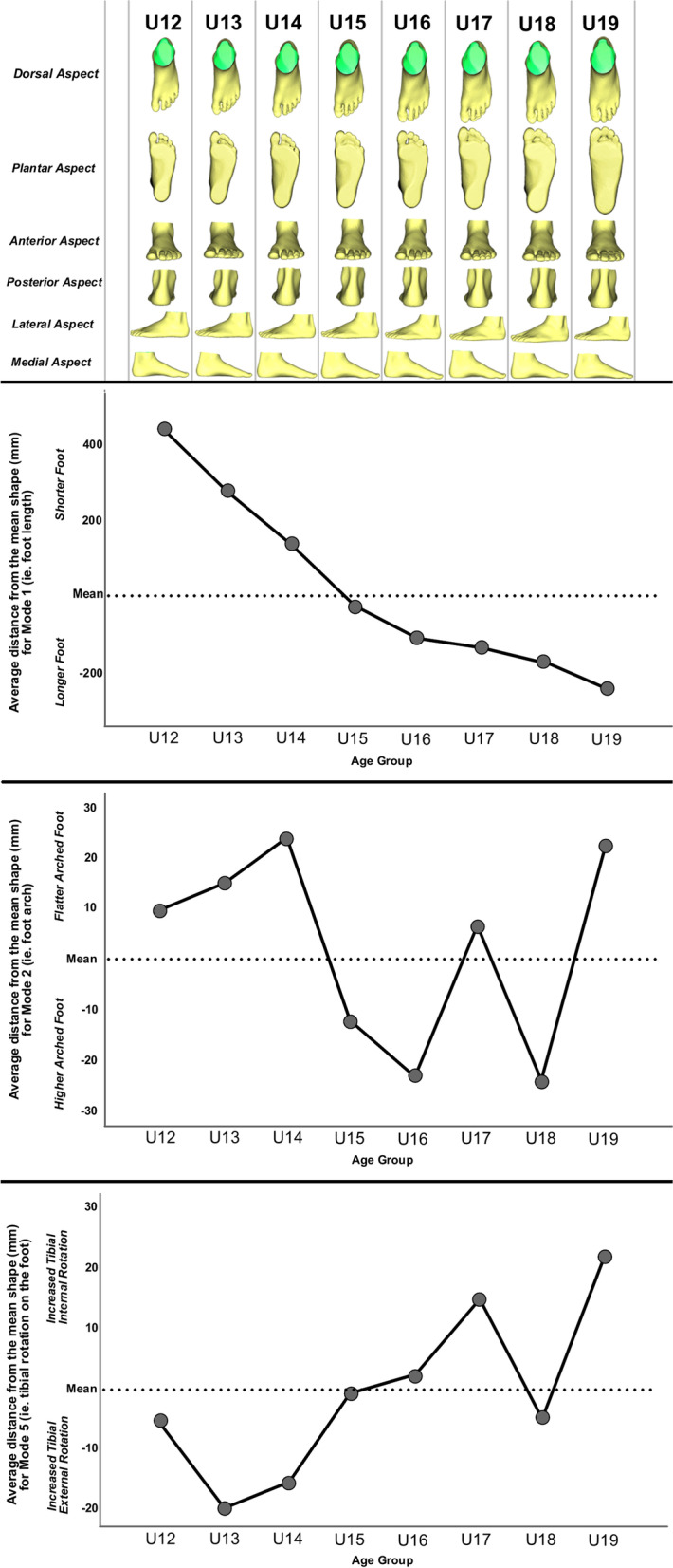 The relationship of three-dimensional foot morphology to clinical assessments and postural stability in adolescent male footballers.