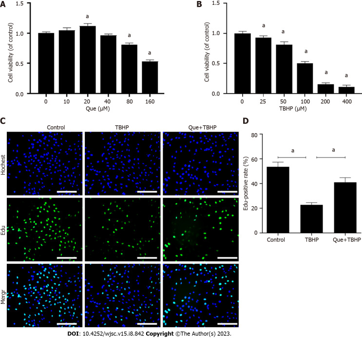 Quercetin ameliorates oxidative stress-induced senescence in rat nucleus pulposus-derived mesenchymal stem cells <i>via</i> the miR-34a-5p/SIRT1 axis.