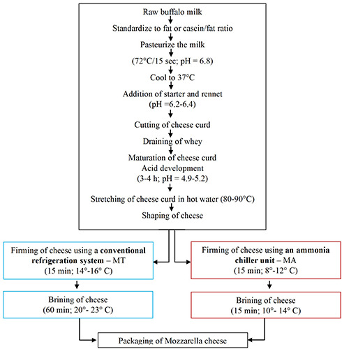 Effect of a new sustainable cooling system used during firming and brining on the microbiological, chemical, and sensory characteristics of buffalo mozzarella cheese.