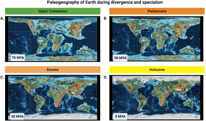 PAReTT: A Python Package for the Automated Retrieval and Management of Divergence Time Data from the TimeTree Resource for Downstream Analyses.