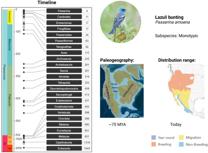 PAReTT: A Python Package for the Automated Retrieval and Management of Divergence Time Data from the TimeTree Resource for Downstream Analyses.