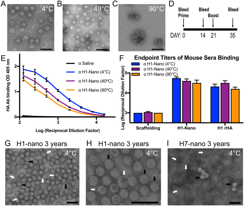 Designed nanoparticles elicit cross-reactive antibody responses to conserved influenza virus hemagglutinin stem epitopes.