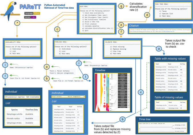 PAReTT: A Python Package for the Automated Retrieval and Management of Divergence Time Data from the TimeTree Resource for Downstream Analyses.