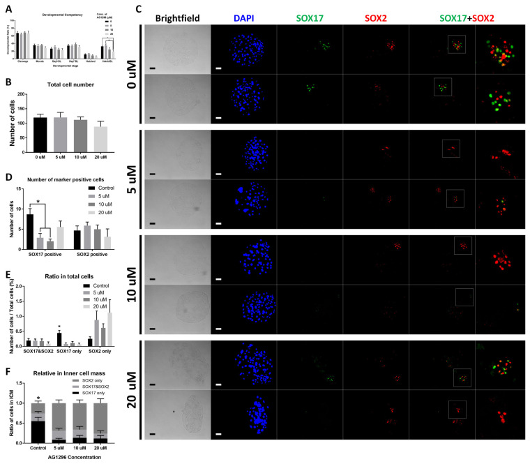 The number of primitive endoderm cells in the inner cell mass is regulated by platelet-derived growth factor signaling in porcine preimplantation embryos.