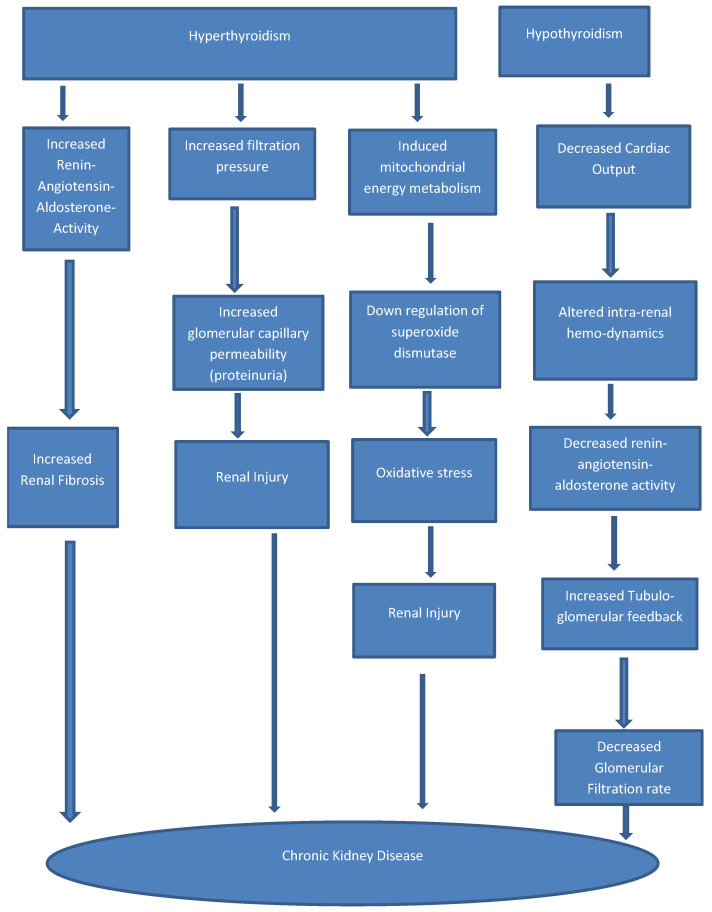 Spectrum of Thyroid Dysfunction in Patients with Chronic Kidney Disease in Benin City, Nigeria.