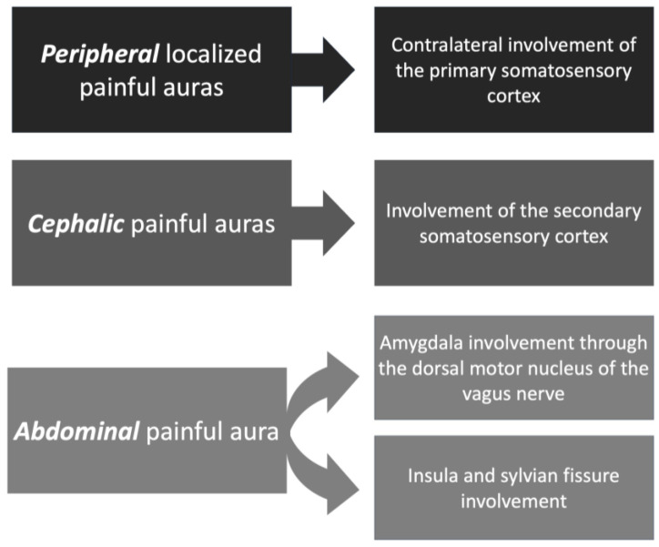 Somatosensory Auras in Epilepsy: A Narrative Review of the Literature.