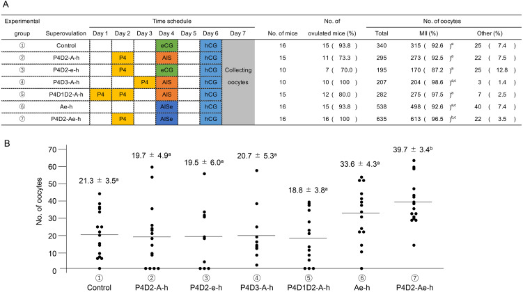 A combined treatment with progesterone, anti-inhibin serum, and equine chorionic gonadotropin improves number of ovulated oocytes in young C57BL/6J mice.