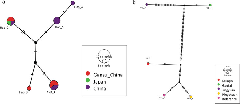 Infection of sheep by Echinococcus multilocularis in Gansu, China: evidence from mitochondrial and nuclear DNA analysis.