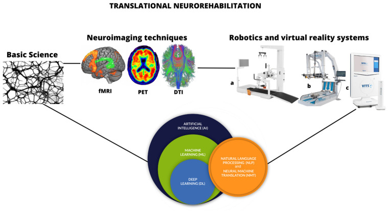 Bridging the Gap between Basic Research and Clinical Practice: The Growing Role of Translational Neurorehabilitation.