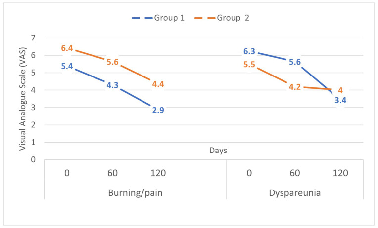 Effectiveness of Two Transcutaneous Electrical Nerve Stimulation (TENS) Protocols in Women with Provoked Vestibulodynia: A Randomized Controlled Trial.