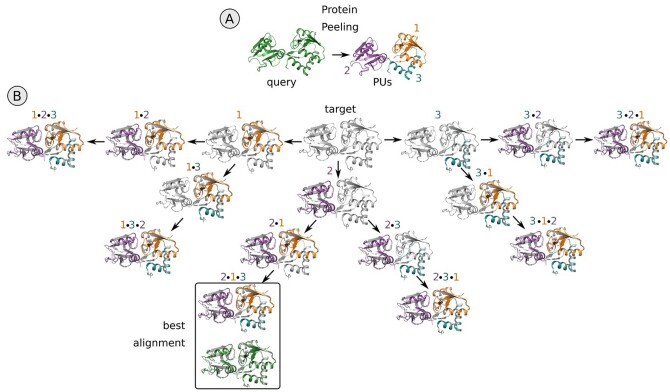 ICARUS: flexible protein structural alignment based on Protein Units.